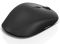 Мишка бездротова Lenovo 600 Wireless Black (GY50U89282)